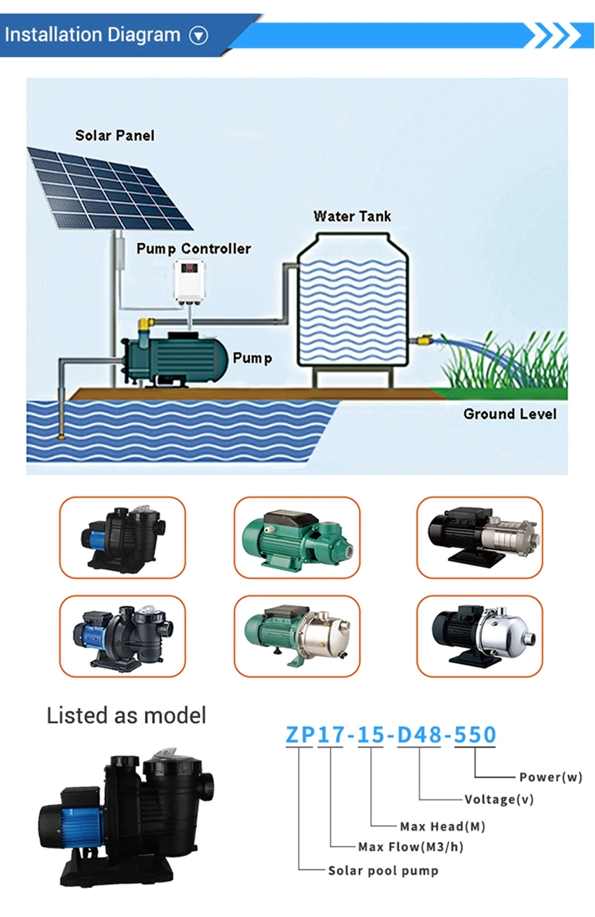 Zjp17/15-D48/500 Swimming Pool 500W Submersible Screw AC DC Solar Submersible Pump Pumping Set