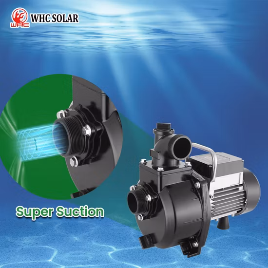 Pompa ad acqua solare sommergibile per pozzo profondo DC da 1,25 pollici a 4 pollici AC